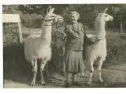 British Library exhibition reveals Agatha Christie as digital nomad and surfer
