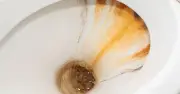 Brown toilet stains won't lift with bleach but will in 1 hour using natural item