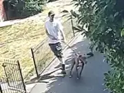 Cat put down after dog attack in Prescot; police seek two men