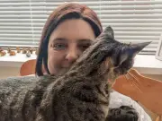 Cat's severed tail posted through letterbox in Hull