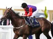 Cheltenham Festival 'ultimate plan' for King and Queen's Reaching High