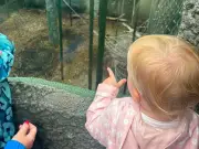 Chester Zoo rainy day visit with toddler: 60 animals spotted