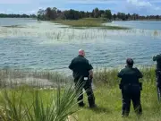 Child Survives Alligator Attack in Florida No-Swim Zone
