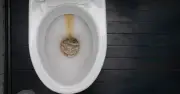 Citric acid 'better' than vinegar for toilet limescale removal