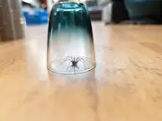 Clean window frames to keep spiders out this autumn