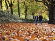 Clocks go back October 25, 2026: UK returns to GMT