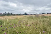 Conservationists urge nature 'right next to where people live'