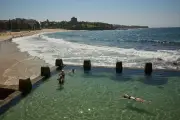 Coogee Beach Ranks Worst for Faecal Pollution, But Swimmers Unfazed