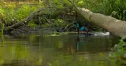 Countryfile river snorkeller Nicola Crockford issues safety warning to viewers