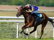 Diamond Necklace leads Ballydoyle Arc challenge