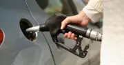 Diesel drivers urged to save fuel as prices hit record high