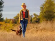Dog owners urged to act now to stop pets being 'invisible' to cars