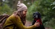 Dog owners warned: pets could be 'invisible' to drivers this autumn