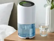 Dunelm dehumidifier drops to £9.50 with TopCashback deal