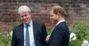 Earl Spencer on Prince Harry's UK return: 'Seems normal'