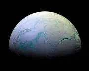 Earth microbes survive simulated Enceladus ocean conditions
