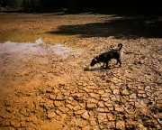 El Niño 2026: Record Heat, Droughts and Floods Explained