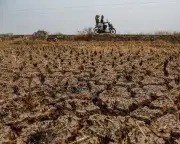 El Niño and Human Folly: A Lethal Combination