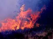 El Niño Sparks Extreme Weather Warning: UK Urged to Stock Up