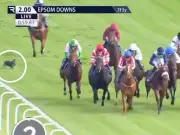 Epsom jockey's relief as dog dodges horse's hooves in race scare