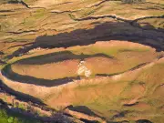 Experts dismiss new Noah's Ark claim as 'pseudo-archaeology'