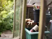 Five essential September gardening jobs expert urges