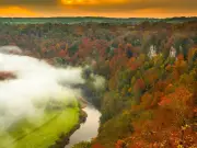 Forest of Dean: Autumn Walks, Cycling and Wildlife Near Cardiff