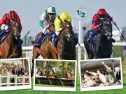 Free autumn horse racing tickets: Claim a pair for 15 UK race days