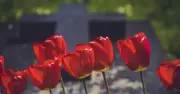 Funeral industry crackdown backed as campaigners win cross-party support