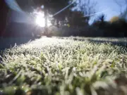 Gardeners told when to stop mowing grass to avoid winter lawn damage