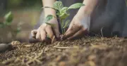 Gardening expert reveals 1 key task to complete before October