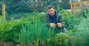 Gardening expert shares 14 crops to sow in September - 'it's not over yet'