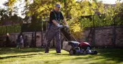 Gardens to be 'fuller' and 'greener' this autumn after simple £1 coin trick