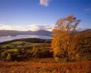 Golden autumn days: readers' favourite UK walks and views