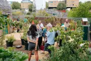 Grassroots London projects: solar panels, pocket gardens and community action