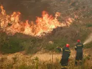 Greek islands on 'Code Red' as wildfire risk remains 'Very High'