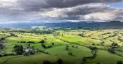 Green spaces save NHS £148m a year in GP visits, research finds