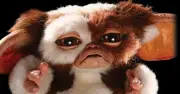 Gremlins 3 fans beg producers for one thing after new teaser drops