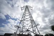 Grid operator calls for more power generation on Monday