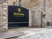 Guinness depot raided: thieves steal 70,000 pints worth £115k