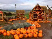 Halloween 2026 Cardiff events to book now: pumpkins, mazes and monsters