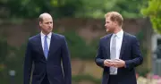 Harry and William's feud: cousins 'likely never met'