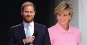 Harry's Diana Netflix doc tipped to break Hollywood records