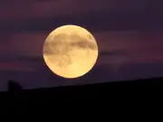 Harvest Moon 2026: When and how to see it from the UK