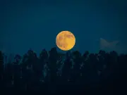 Harvest Moon rises this weekend with Saturn and Neptune nearby