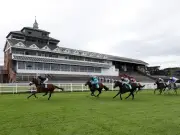 Hatamoto tipped for Thirsk NAP as McWhinny backed at Sedgefield