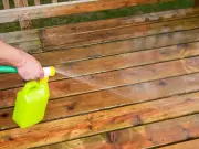 Homeowners urged to spray white vinegar on patios to repel spiders