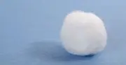 Households urged to put cotton wool on windowsills this September