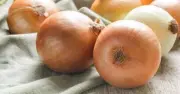 How to Store Onions for Six Months Without Them Going Mushy