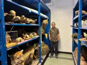 Inside Liverpool's secret underground treasure stores